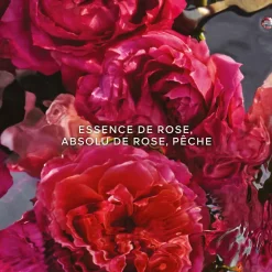 Guerlain - Aqua Allegoria Forte Rosa Rossa - Eau de Parfum Recharge 200 ml