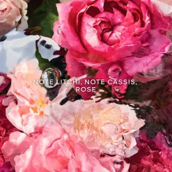 Guerlain - Aqua Allegoria Rosa Rossa - Crème Mains 50 ml