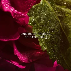 Guerlain - La Petite Robe Noire - Eau de Parfum Absolue