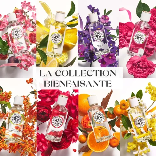 Roger & Gallet - Fleur de Figuier - Savon Bienfaisant 100g