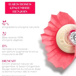 Roger & Gallet - Gingembre Rouge - Savon Bienfaisant 100g
