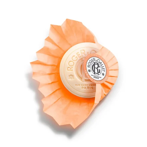 Roger & Gallet - Œillet Mignardise - Savon Bienfaisant 100g